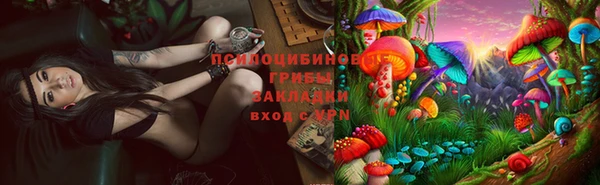 крисы Алексин