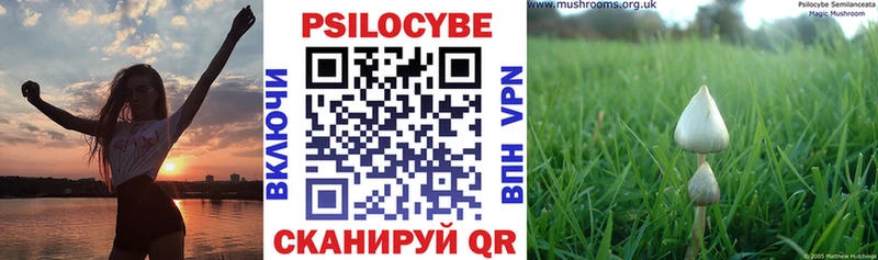 Галлюциногенные грибы Psilocybine cubensis  закладки  ссылка на мегу   Асино 