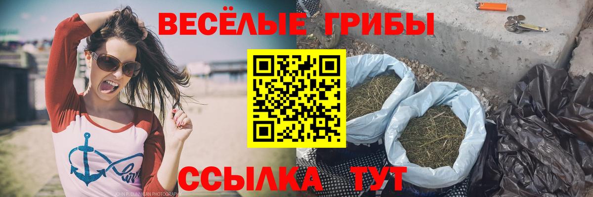 Асино  Псилоцибиновые грибы GOLDEN TEACHER  Вход с VPN 