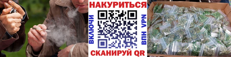 мега   Асино  МАРИХУАНА семена 